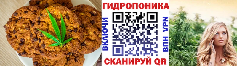 darknet официальный сайт  Кашин  Еда ТГК марихуана  MEGA ONION 