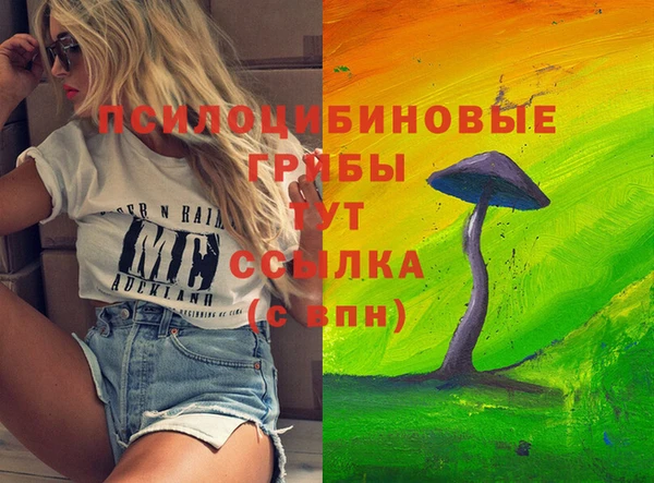 герыч Алексин